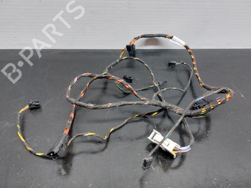 Kabelboom BMW 1 (F40) M 135 i xDrive (306 hp) 16558026