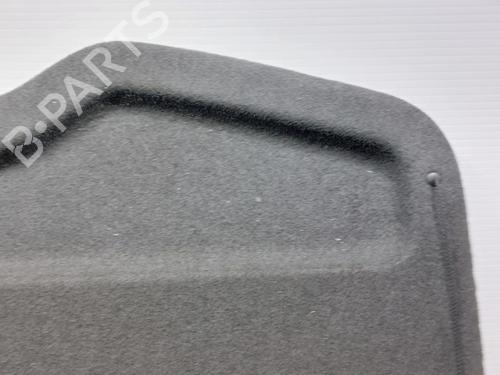 Rear parcel shelf RENAULT CLIO III (BR0/1, CR0/1) 1.2 16V (BR02, BR0J, BR11, CR02, CR0J, CR11) | BP16745210C85 