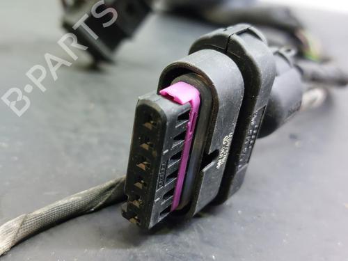 Wiring harness AUDI A4 B8 (8K2) S4 quattro | BP16910385E16 