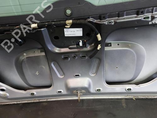 Tailgate MINI MINI (R50, R53) One | BP16928703C6 