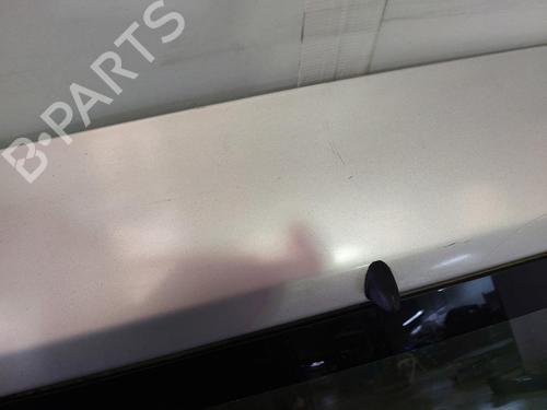 Tailgate HYUNDAI GETZ (TB) 1.1 | BP16928700C6 