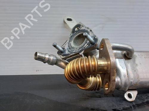 Egr RENAULT CLIO IV (BH_) 1.5 dCi 90 | BP17573732M69 