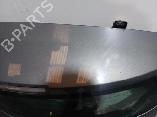 Tailgate RENAULT MEGANE II (BM0/1_, CM0/1_) 1.5 dCi (BM0F, BM0T, BM2B, CM0F, CM0T) | BP19396403C6 