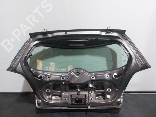 Tailgate RENAULT MEGANE II (BM0/1_, CM0/1_) 1.5 dCi (BM0F, BM0T, BM2B, CM0F, CM0T) | BP19396403C6 