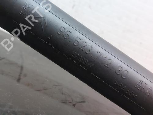 Tailgate lift support PEUGEOT 307 CC (3B) 2.0 HDi 135 | BP19673634C138 