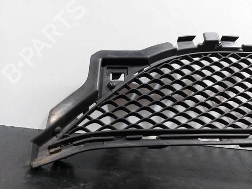 Grille MERCEDES-BENZ E-CLASS Coupe (C207) E 220 CDI / d (207.302, 207.301) | BP22530060C40 