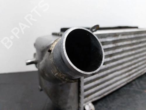 Intercooler HYUNDAI SANTA FÉ II (CM) 2.2 CRDi 4x4 | BP22530209M30 