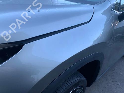 Left front fenders LEXUS NX II (_A2_, _H2_) 450h+ E-Four (AAZH26) | BP22531137C41 