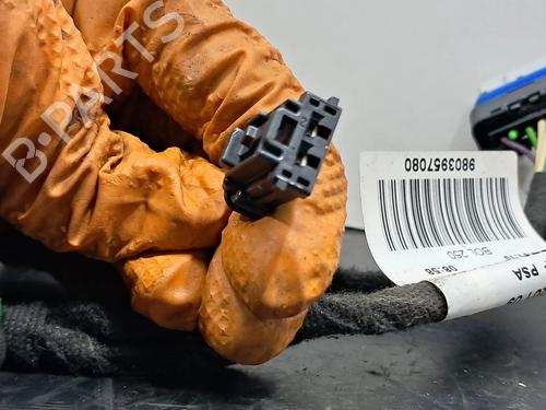 Wiring harness PEUGEOT 208 I (CA_, CC_) 1.6 VTi | BP22688612E16 