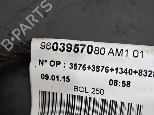 Wiring harness PEUGEOT 208 I (CA_, CC_) 1.6 VTi | BP22688612E16 