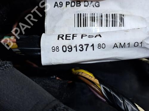 Wiring harness PEUGEOT 208 I (CA_, CC_) 1.6 VTi | BP22688743E16 