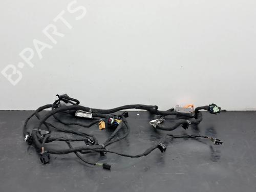 Wiring harness AUDI A8 D3 (4E2, 4E8) 3.0 TDI quattro 4E0971035D