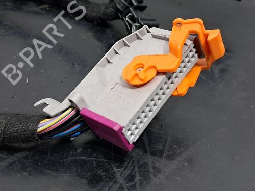 Wiring harness AUDI A8 D3 (4E2, 4E8) 3.0 TDI quattro | BP22791533E16 