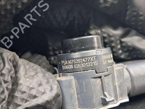 Electronic module PEUGEOT 308 II (LB_, LP_, LW_, LH_, L3_) 1.6 BlueHDi 120 | BP24456077M83