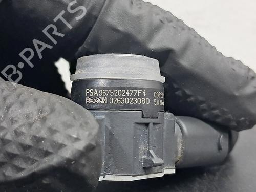 Electronic module PEUGEOT 308 II (LB_, LP_, LW_, LH_, L3_) 1.6 BlueHDi 120 | BP24456079M83