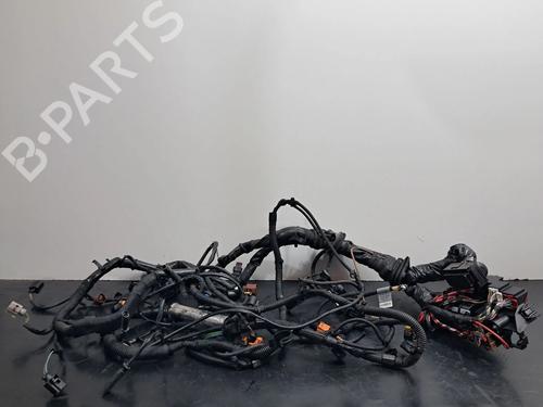 Wiring harness AUDI Q5 (8RB) 3.0 TDI quattro 8K1971072CK