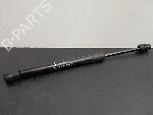 Tailgate lift support DACIA SPRING EV (B6M1) 904518452R