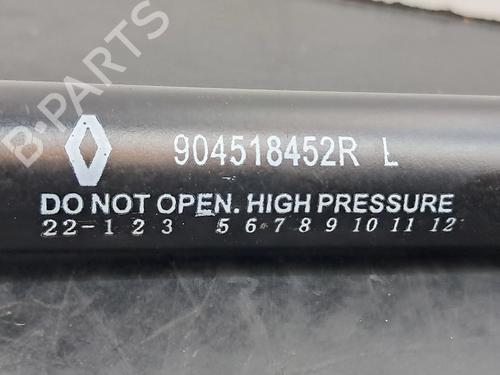 Tailgate lift support DACIA SPRING EV (B6M1) | BP27201550C138 