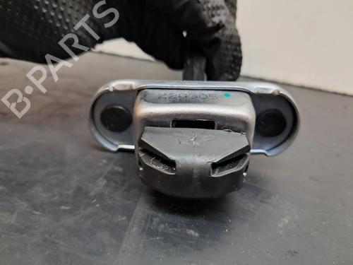 Hinge/Door check strap DACIA SPRING EV (B6M1) | BP27203958C146 