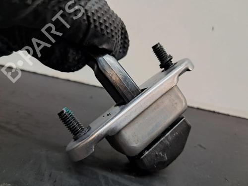 Hinge/Door check strap DACIA SPRING EV (B6M1) | BP27203959C146 