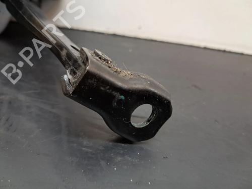Hinge/Door check strap DACIA SPRING EV (B6M1) | BP27203959C146 