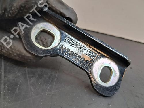 Hinge/Door check strap DACIA SPRING EV (B6M1) | BP27211432C146 