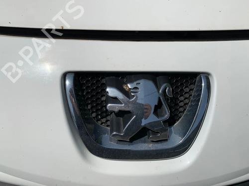 Używane Atrapa chłodnicy / Grill PEUGEOT 207 SW (WK_) 1.6 HDi (90 hp) 28111261