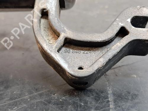 Rear left exterior door handle PEUGEOT 207 SW (WK_) 1.6 HDi | BP28531657C130 
