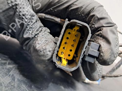 Kabelboom RENAULT LAGUNA II Grandtour (KG0/1_) 1.9 dCi (KG0G) | BP29282823E16