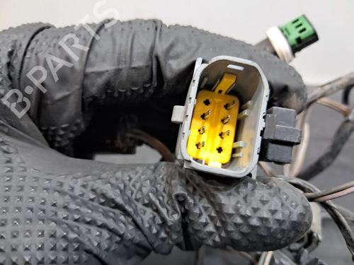 Kabelboom RENAULT LAGUNA II Grandtour (KG0/1_) 1.9 dCi (KG0G) | BP29282823E16