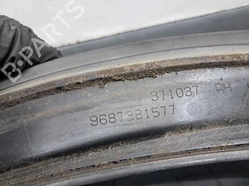 Rubber door seal CITROËN DS4 (NX_) 1.6 BlueHDi 115 | BP29356168C142 