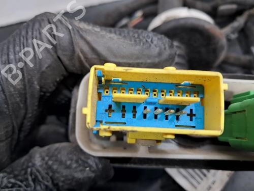 Wiring harness PEUGEOT 208 I (CA_, CC_) 1.6 HDi | BP29386777E16 