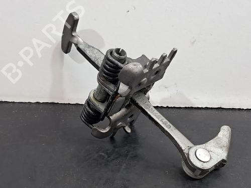 Hinge/Door check strap RENAULT SCÉNIC III (JZ0/1_) 1.6 dCi (JZ00, JZ12) | BP29428168C146 
