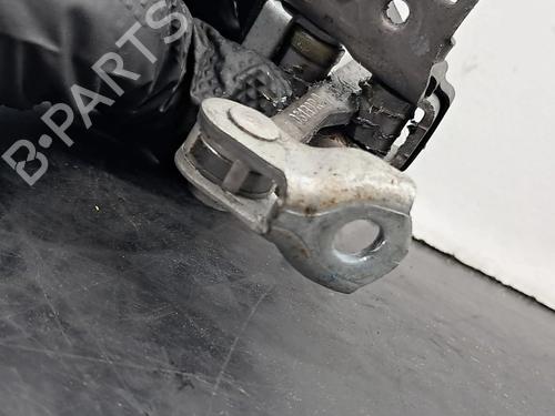 Hinge/Door check strap RENAULT SCÉNIC III (JZ0/1_) 1.6 dCi (JZ00, JZ12) | BP29428168C146 