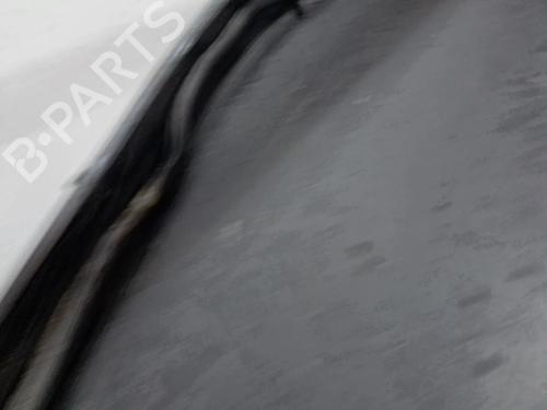 Rubber door seal RENAULT SCÉNIC III (JZ0/1_) 1.6 dCi (JZ00, JZ12) | BP29428176C142 