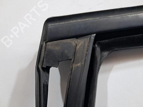 Rubber door seal RENAULT SCÉNIC III (JZ0/1_) 1.6 dCi (JZ00, JZ12) | BP29428176C142 