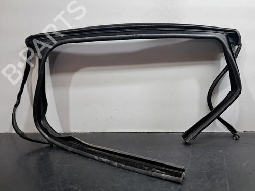 Rubber door seal RENAULT SCÉNIC III (JZ0/1_) 1.6 dCi (JZ00, JZ12) | BP29428176C142 