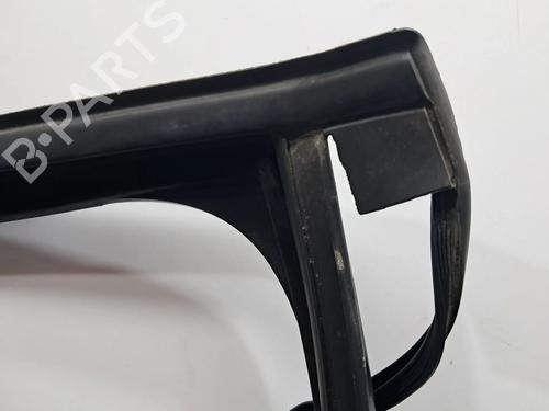 Rubber door seal RENAULT SCÉNIC III (JZ0/1_) 1.6 dCi (JZ00, JZ12) | BP29428176C142 