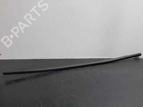 Used Other RENAULT SCÉNIC III (JZ0/1_) 1.6 dCi (JZ00, JZ12) (130 hp) 29434427
