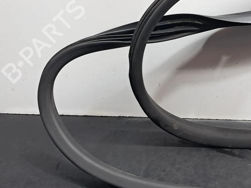 Gummiliste RENAULT ZOE (BFM_) ZOE | BP29478003C142 