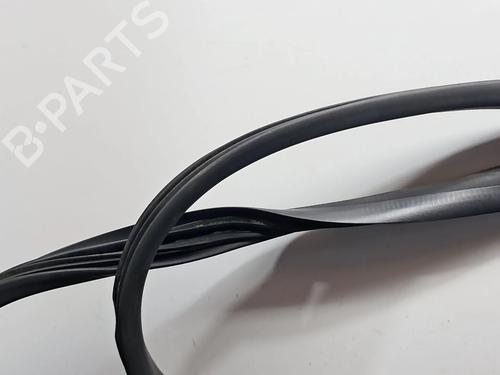 Gummiliste RENAULT ZOE (BFM_) ZOE | BP29478003C142 