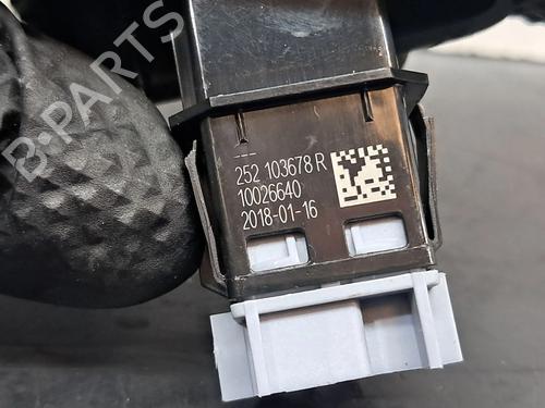 Switch RENAULT ZOE (BFM_) ZOE | BP29484970I30