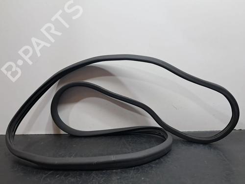 Used Rubber door seal RENAULT ZOE (BFM_) ZOE (92 hp) 29489843