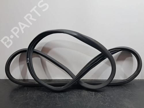 Gummiliste RENAULT ZOE (BFM_) ZOE (92 hp) 29489844