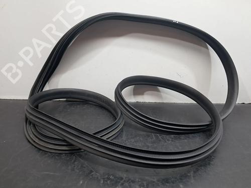 Gummiliste RENAULT ZOE (BFM_) ZOE (92 hp) 29489846