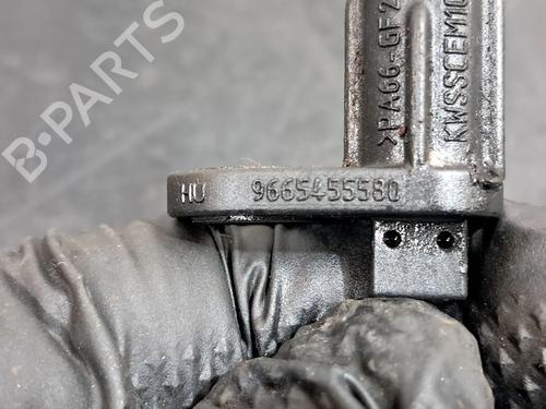 Electronic module PEUGEOT 208 I (CA_, CC_) 1.6 HDi | BP29520695M83 