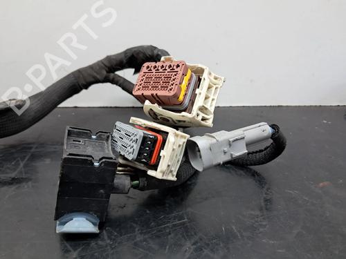 Wiring harness PEUGEOT 208 I (CA_, CC_) 1.6 HDi | BP29521460E16