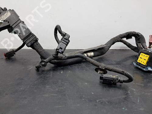 Wiring harness PEUGEOT 208 I (CA_, CC_) 1.6 HDi | BP29521460E16