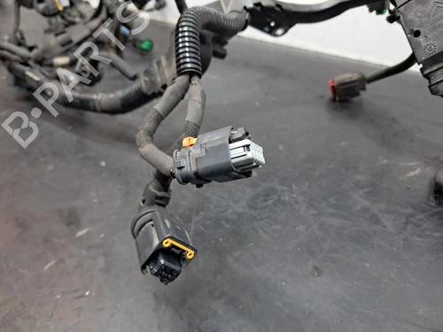 Wiring harness PEUGEOT 208 I (CA_, CC_) 1.6 HDi | BP29521460E16