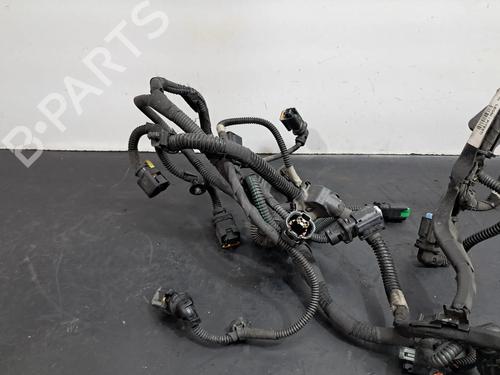 Wiring harness PEUGEOT 208 I (CA_, CC_) 1.6 HDi | BP29521460E16